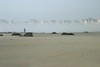 Albertine > Cloudy Skies On The Gulf photo