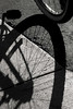 Albertine > Shadows