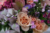 Albertine > Jacqueline Albert Wedding photo