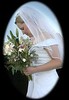 Albertine > The Greene Wedding >  IMG_0357A